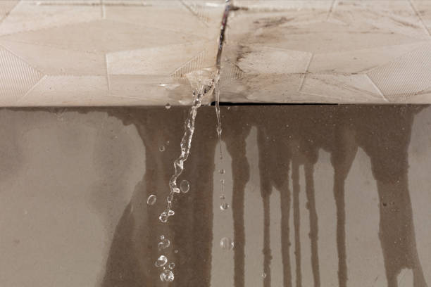 Professional Structural Drying technician working in Somerville, TN